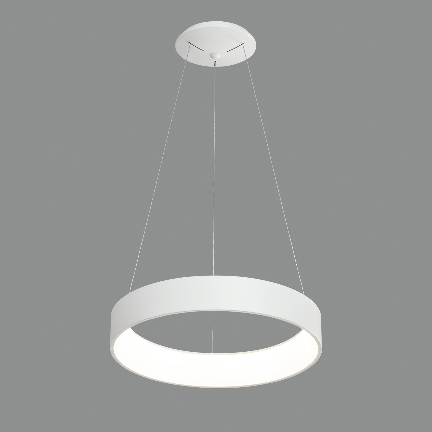 ACB Dilga Lámpara de techo colgante blanco LED Slide Switch C3450270B