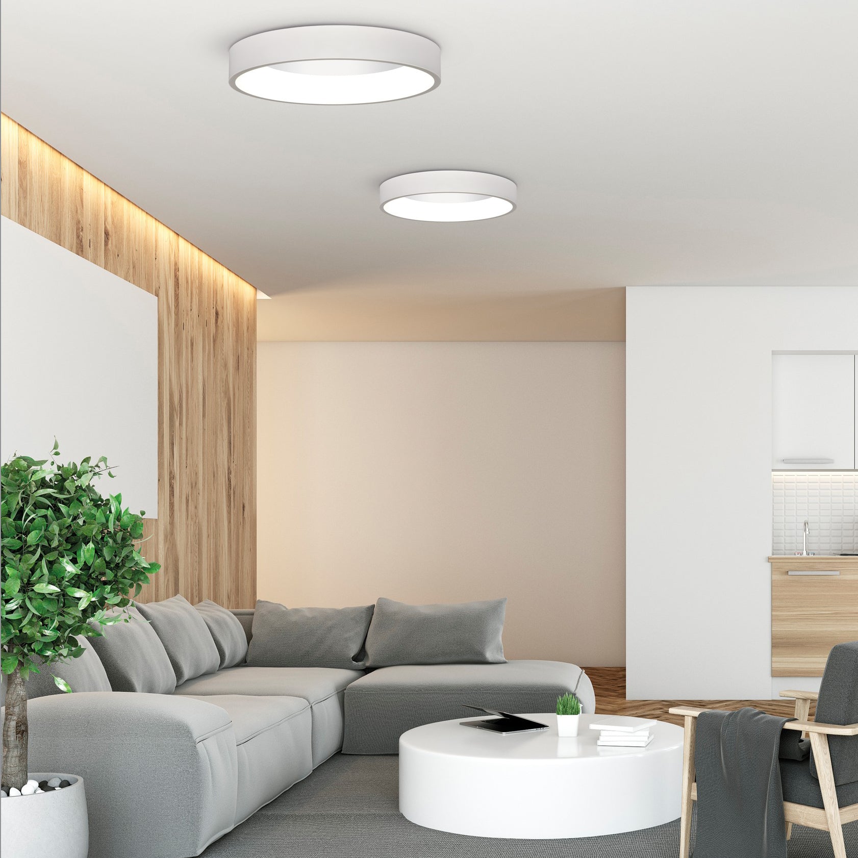 ACB Dilga Plafón blanco LED Slide switch Casambi P3450170BCA