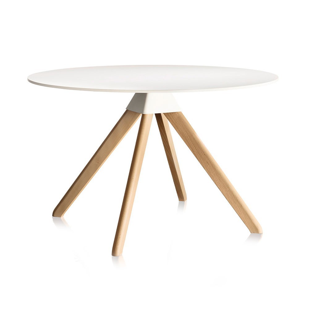 Mesa Cuckoo - The Wild Bunch Magis