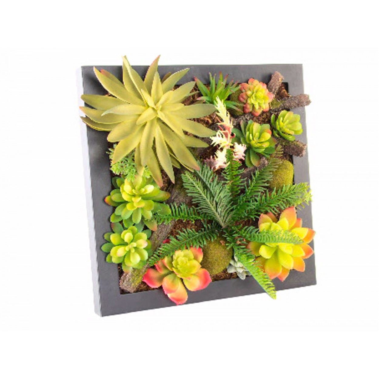 Planta de Madera para mesa o Pared