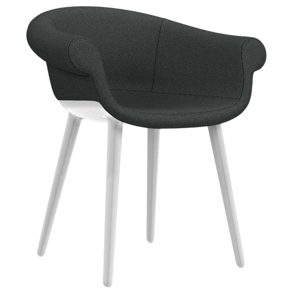 Silla Cyborg Lord Magis