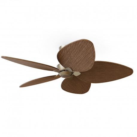 Ventilador de Techo Sulion Alma L Latón 5 palas Madera Oscura Sin luz